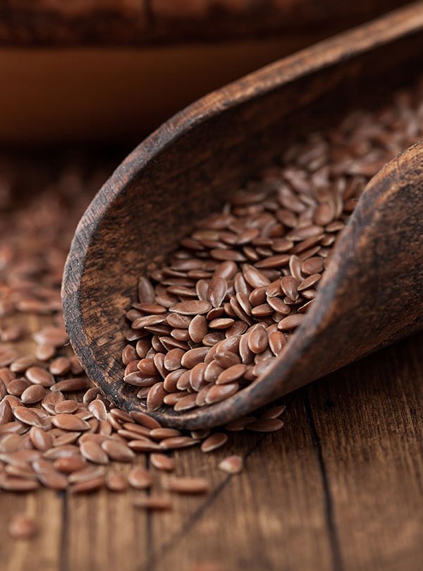 Flax Seeds