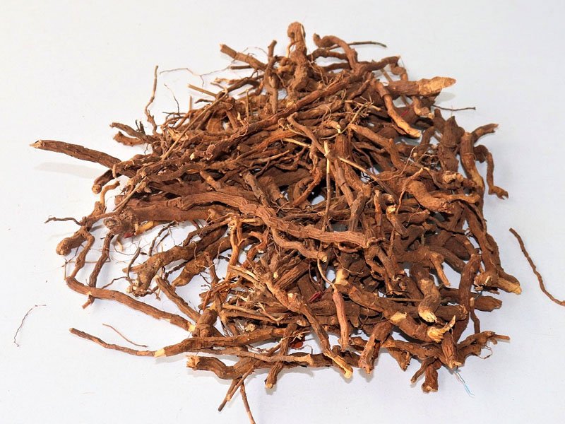 Nannari Root (Sarasaparilla)